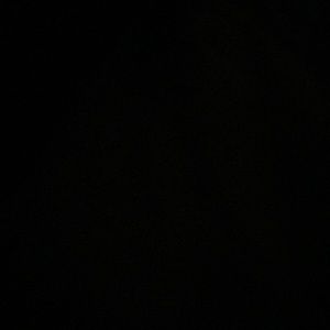 Meet your Posher, Vik